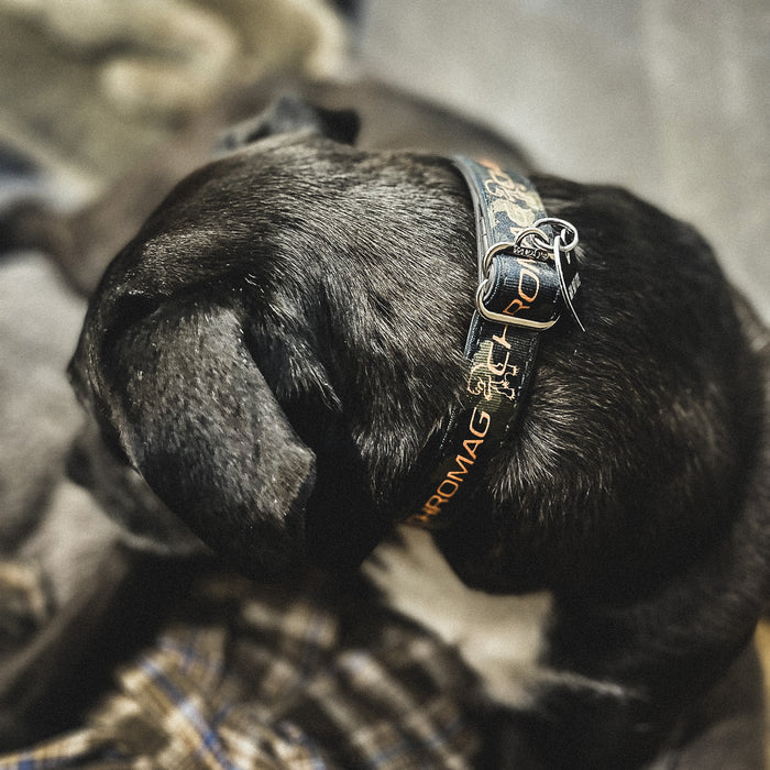 Chromag Bikes Mountain Bike Dog Collar