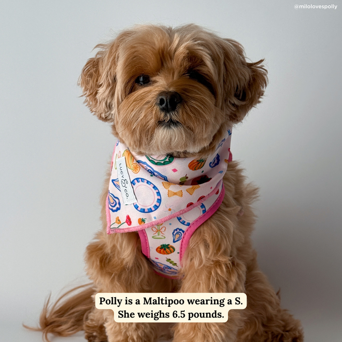 Dolce Vita Bandana