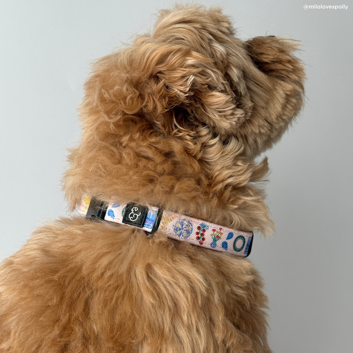Dolce Vita Collar