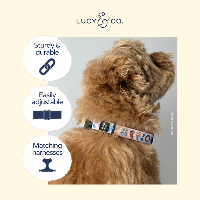 Dolce Vita Collar