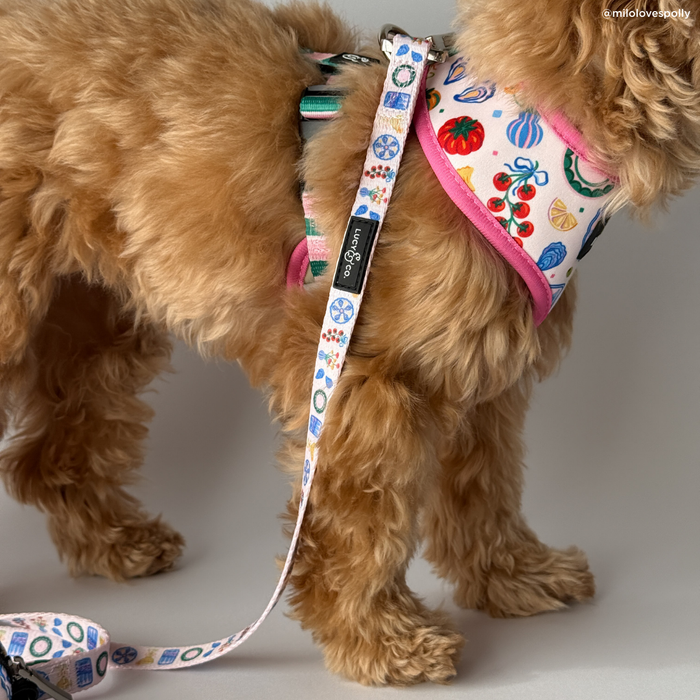 Dolce Vita Leash