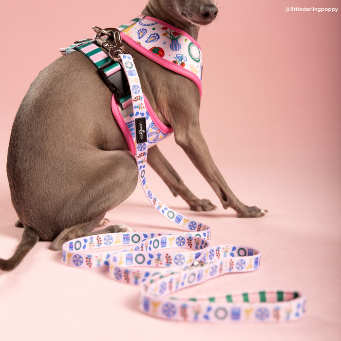 Dolce Vita Leash