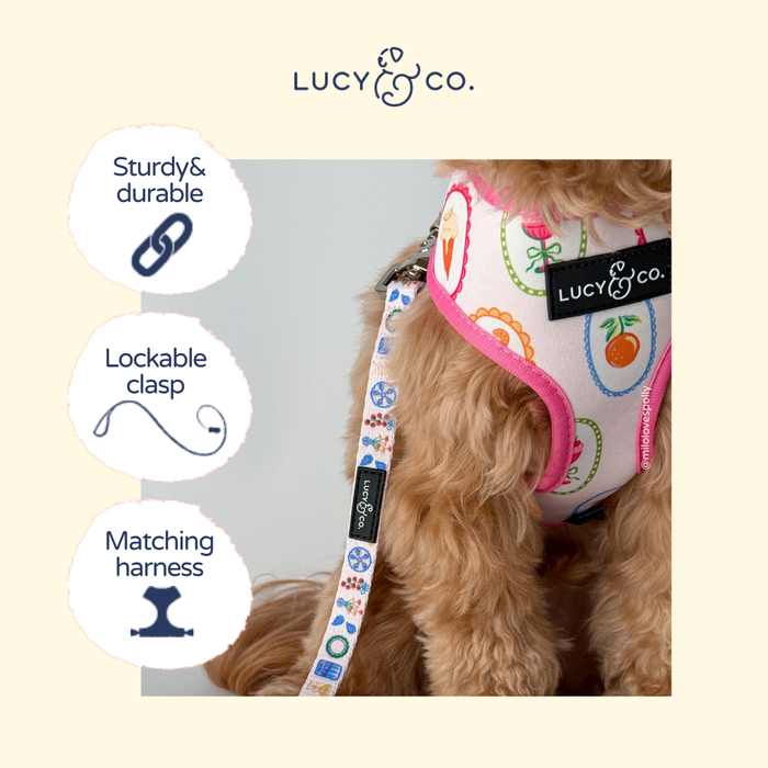 Dolce Vita Leash