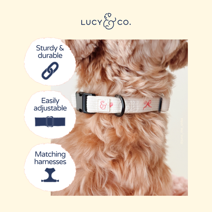 Ever So Sweet Corduroy Collar