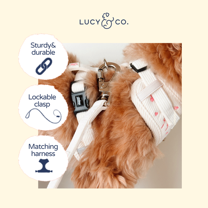 Ever So Sweet Corduroy Leash
