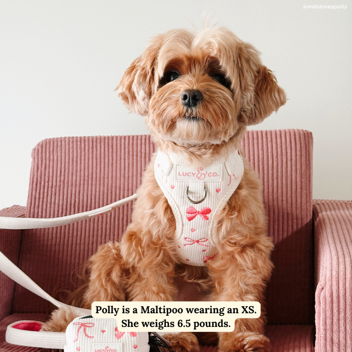 Ever So Sweet Corduroy No-Pull Harness
