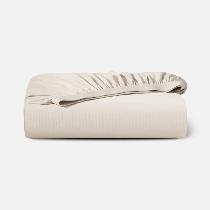 Snow Ivory