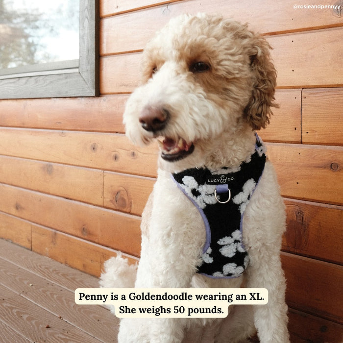 Far Out Fleece No-Pull Harness