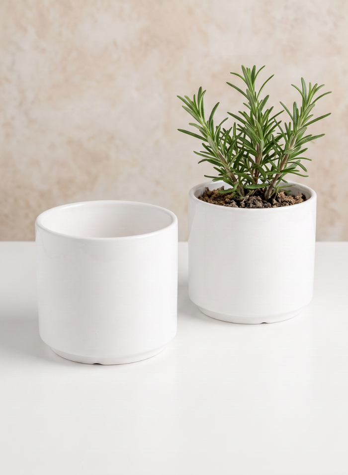 Florist Choice Gloss White Ceramic Cylinders Decor Jamali Garden