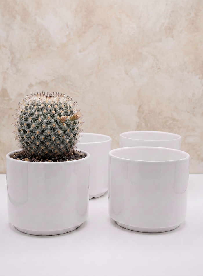 4in Tall Florist Choice Gloss White Cylinder, Set of 4 Decor Jamali Garden