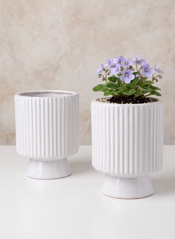 Florist Choice White Ceramic Cachepot with Base Decor Jamali Garden