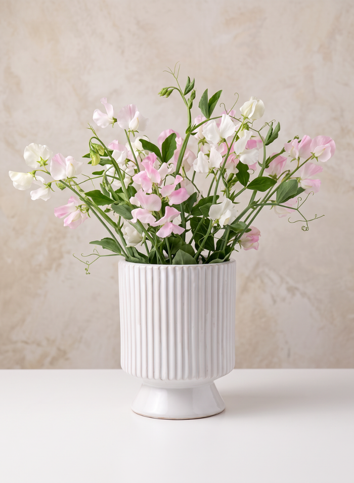 8in Tall Florist Choice White Cachepot with Base Decor Jamali Garden