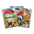 Fumiha's Little Notebook Set