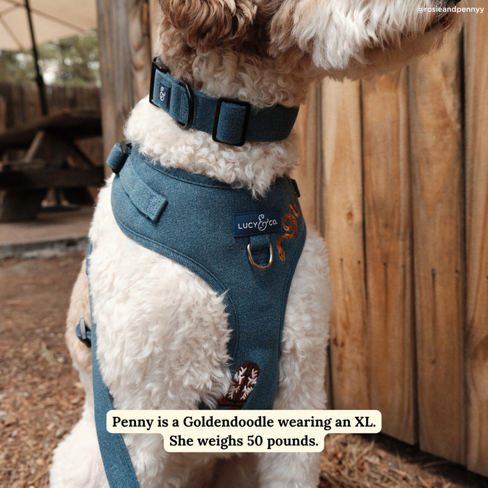 Giddy Up No-Pull Harness