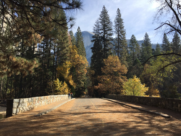 Half Dome