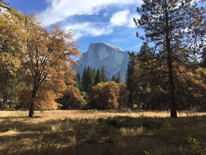 Half Dome