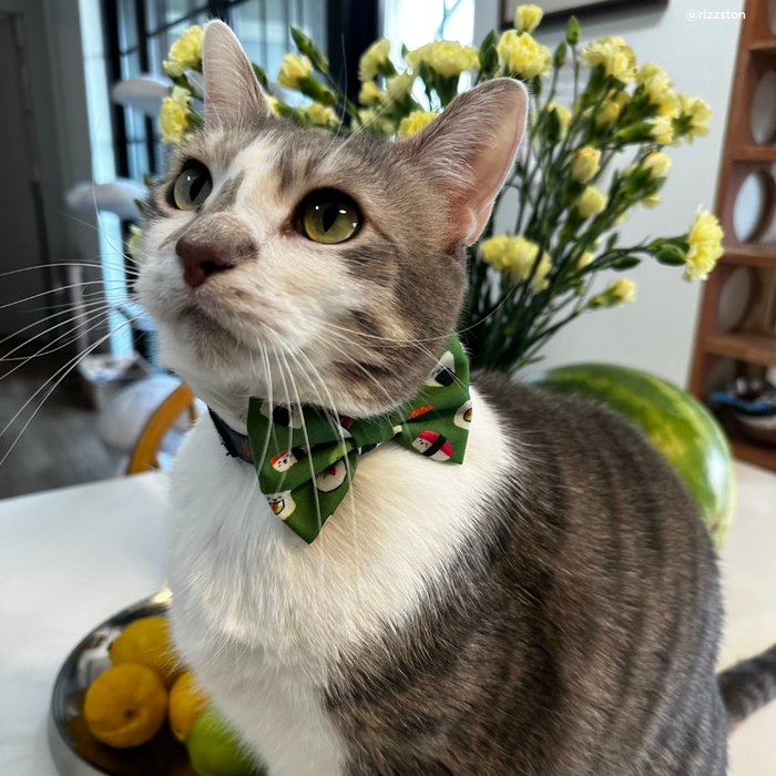 How I Roll Cat  (& Small Dog) Bow Tie