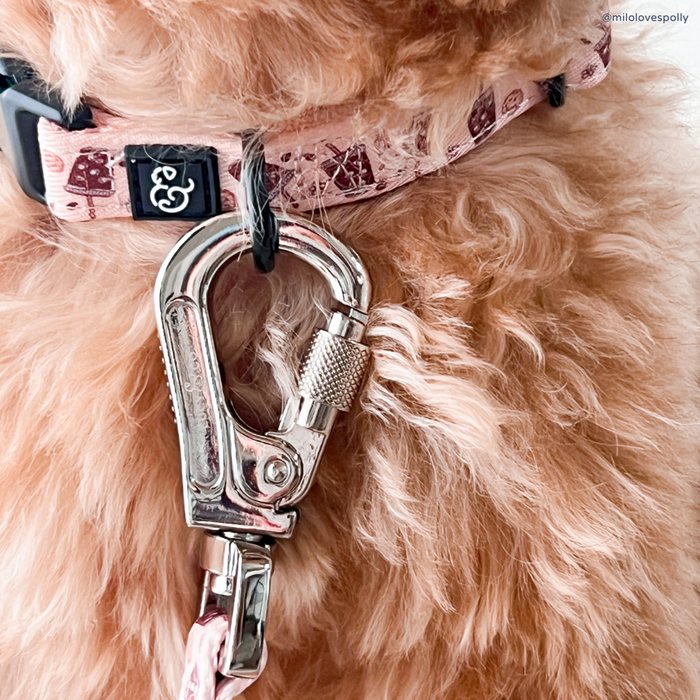 Iced Coffee SZN Collar