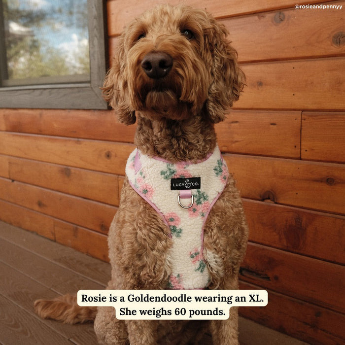 In Full Bloom Fleece No-Pull Harness