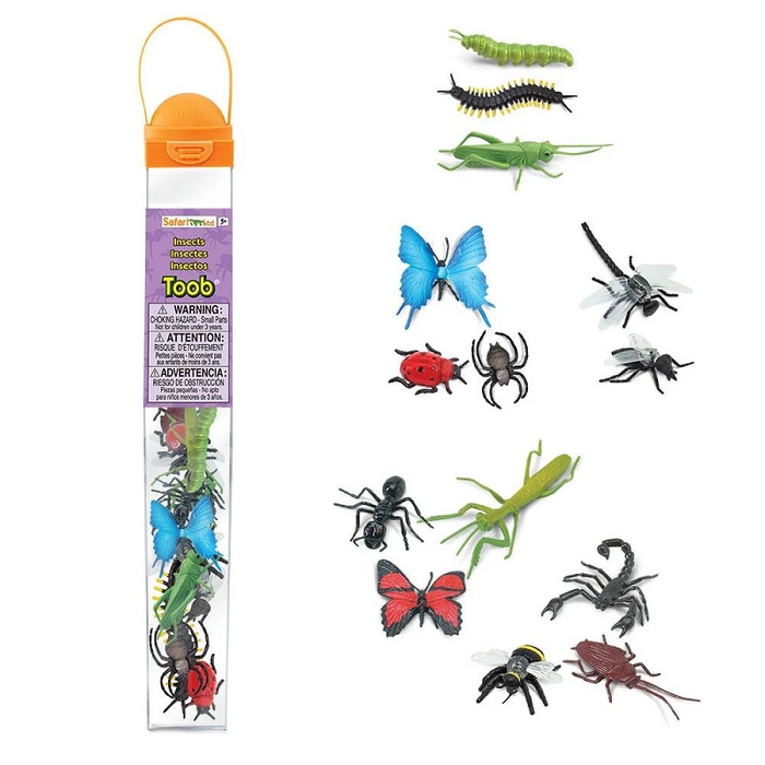 Insects TOOB