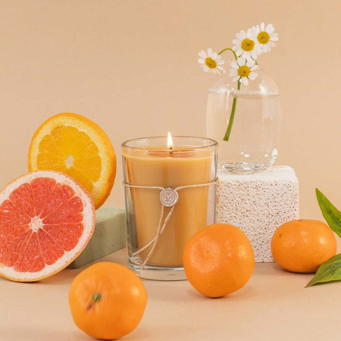 The Votivo Island Grapefruit 6.8 oz. Aromatic Candle in a glass jar sits among sliced orange, whole tangerines, green leaves, and daisies on pastel blocks against a beige background.