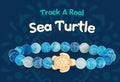 Journey Bracelet Turtle Aqua Blue