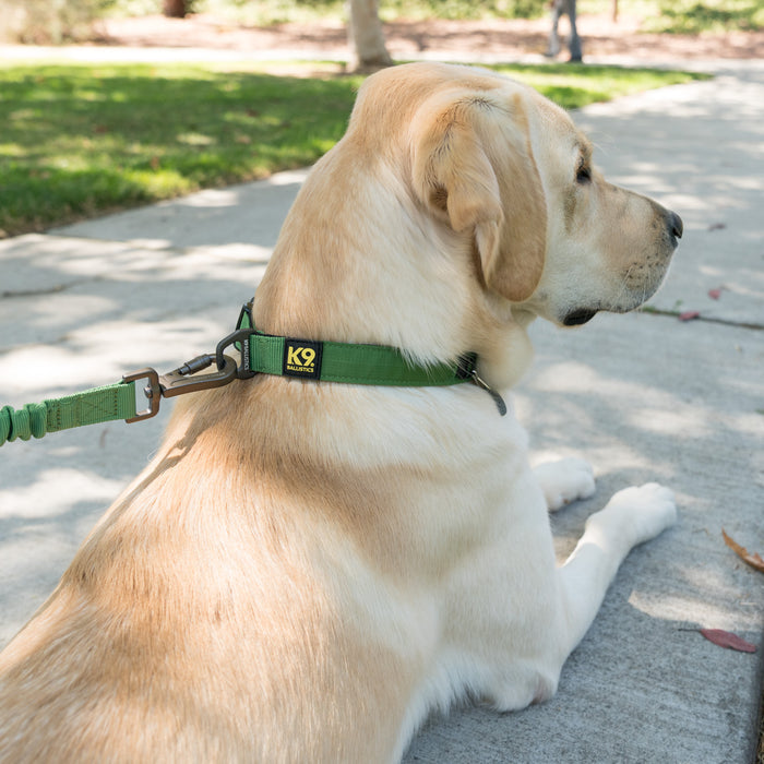 K9 Everyday™ Dog Collar