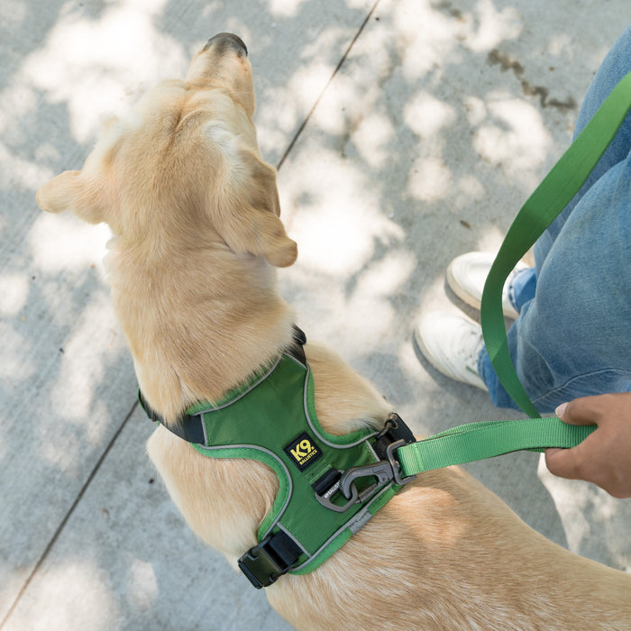 K9 Everyday™ Dog Harness