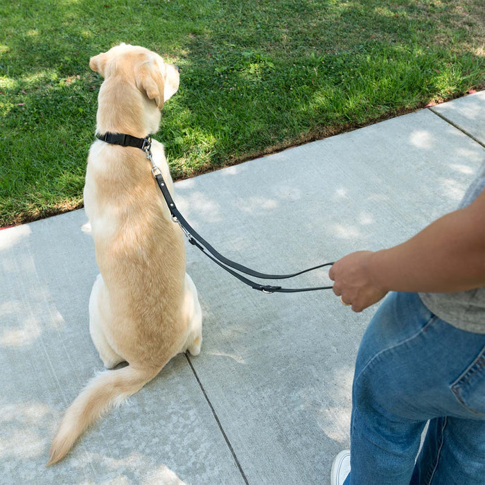 K9 Training™ Vegan Leather Dog Leash