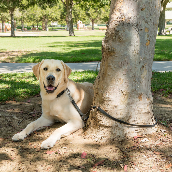 K9 Training™ Vegan Leather Dog Leash