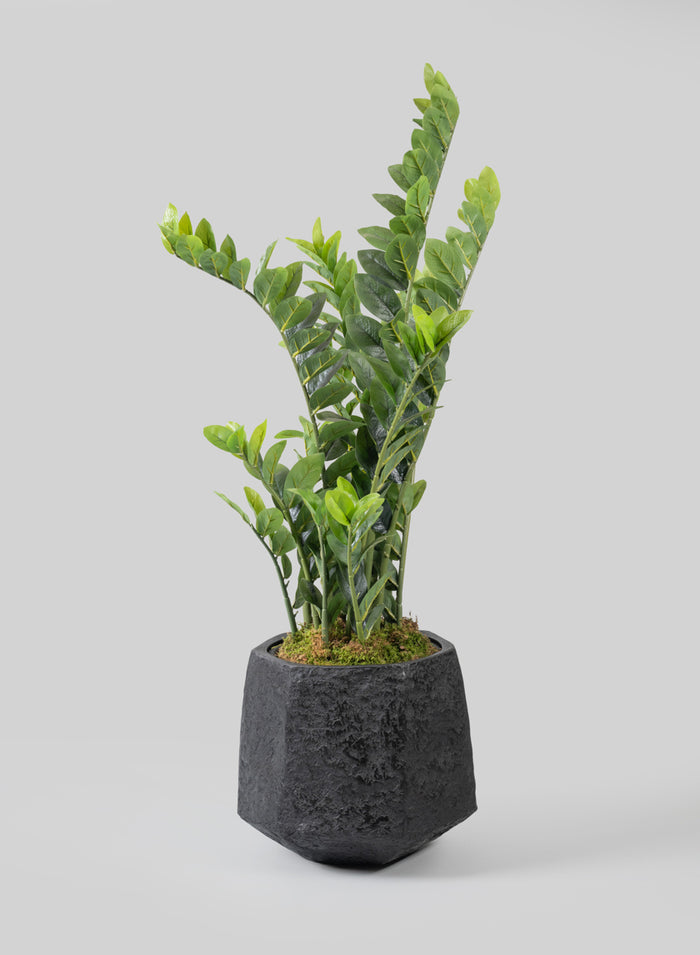Kesari Aged Black Fiberglass Planter Decor Jamali Garden