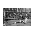 Lacrosse Game with Crowd Canvas