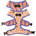 Let's Groove Reversible Harness