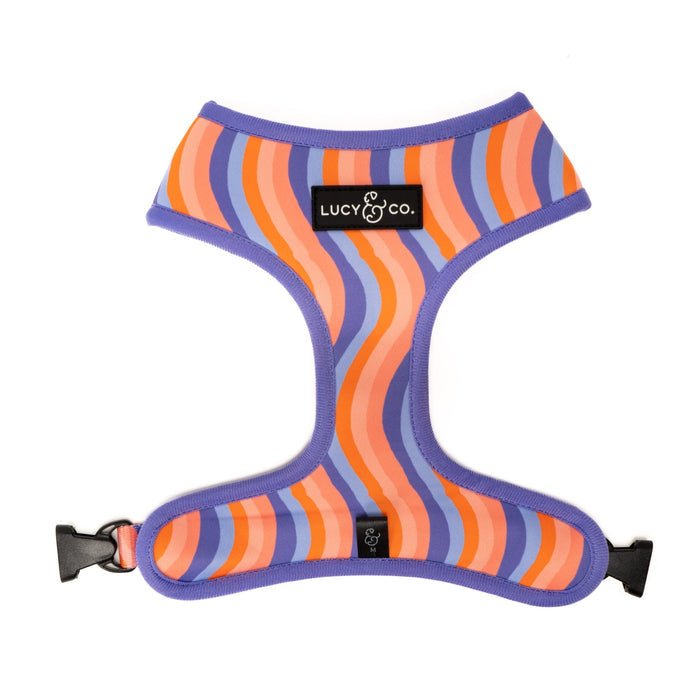 Let's Groove Reversible Harness