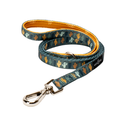 Looking Sharp Cat Leash