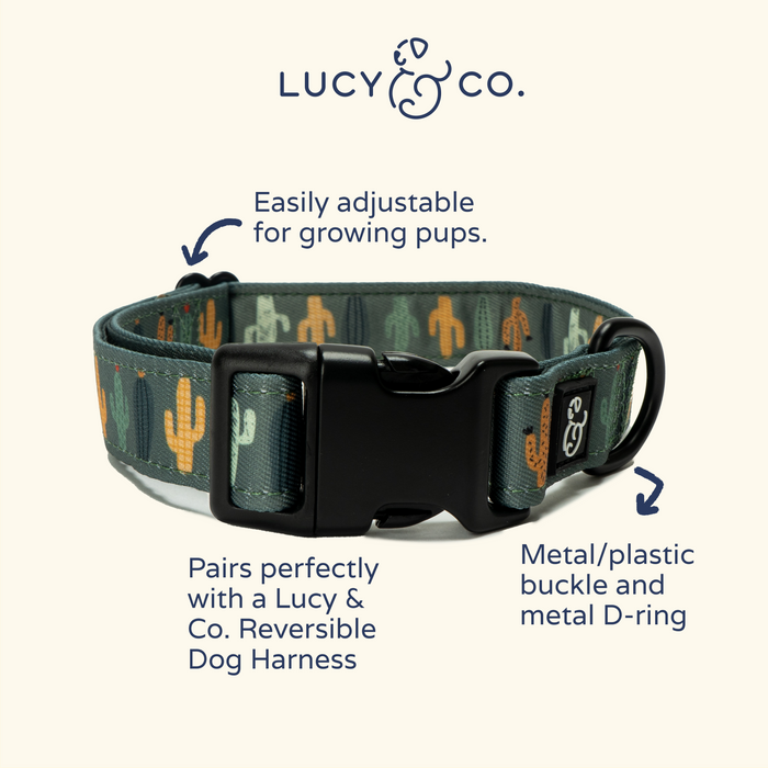 Looking Sharp Collar