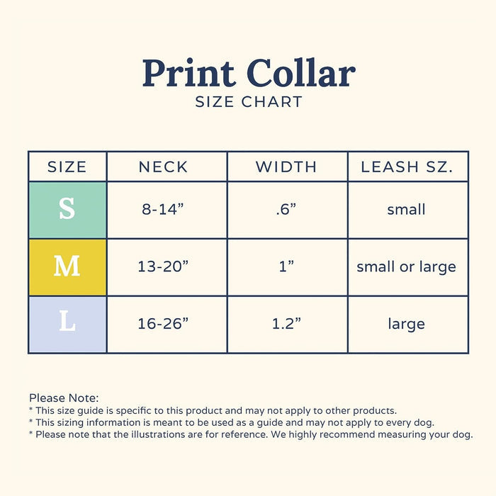 Looking Sharp Collar