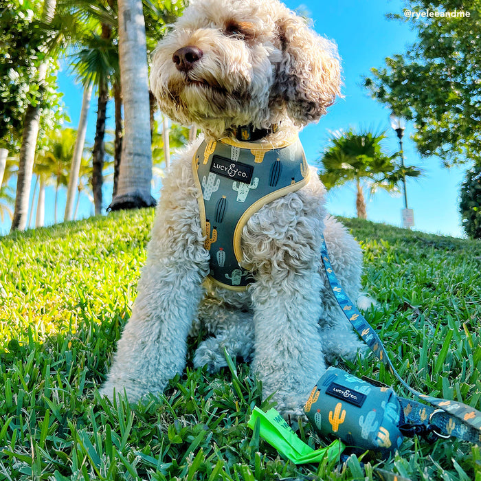 Looking Sharp Poop Bag Holder