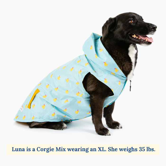 Lucky Ducky Reversible Raincoat