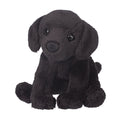 Lucy Black Lab
