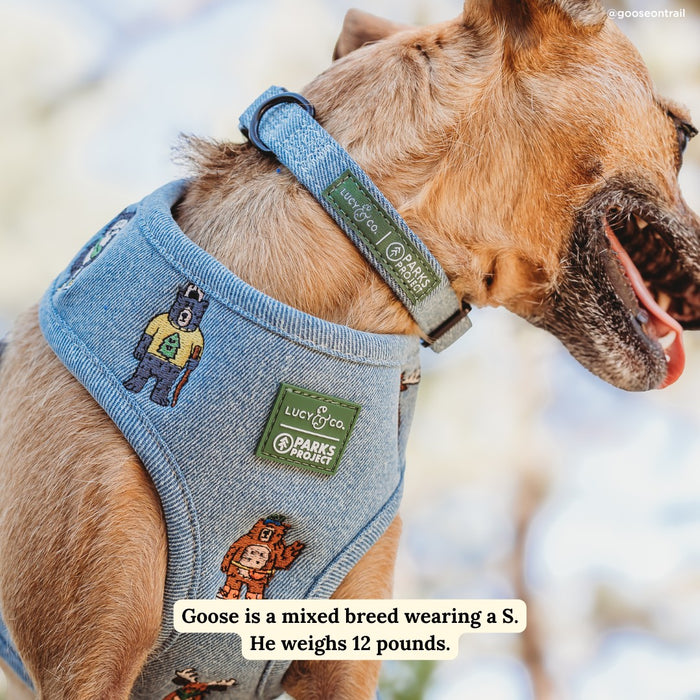 Lucy & Co. x Parks Project Adventures with Friends Collar