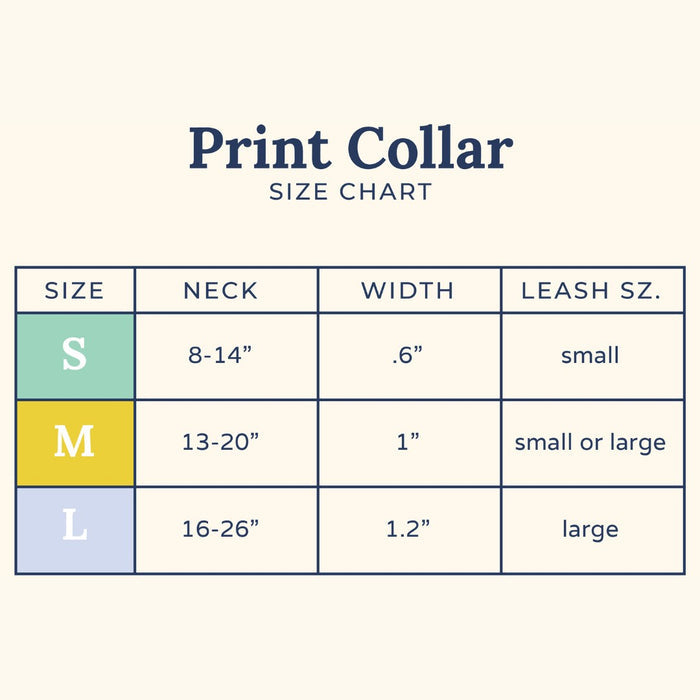 Lucy & Co. x Parks Project Adventures with Friends Collar