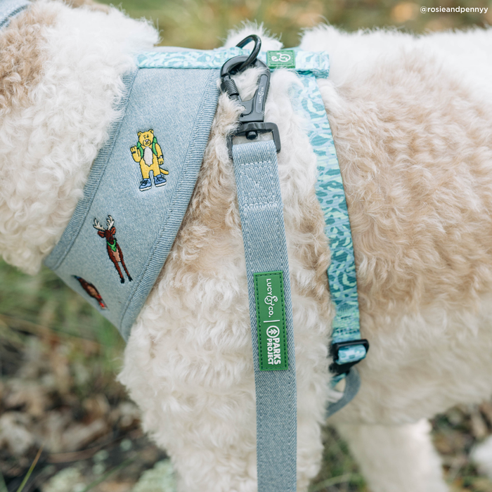 Lucy & Co. x Parks Project Adventures with Friends Leash