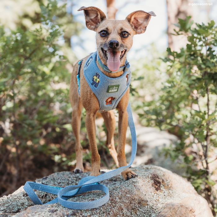 Lucy & Co. x Parks Project Adventures with Friends Leash
