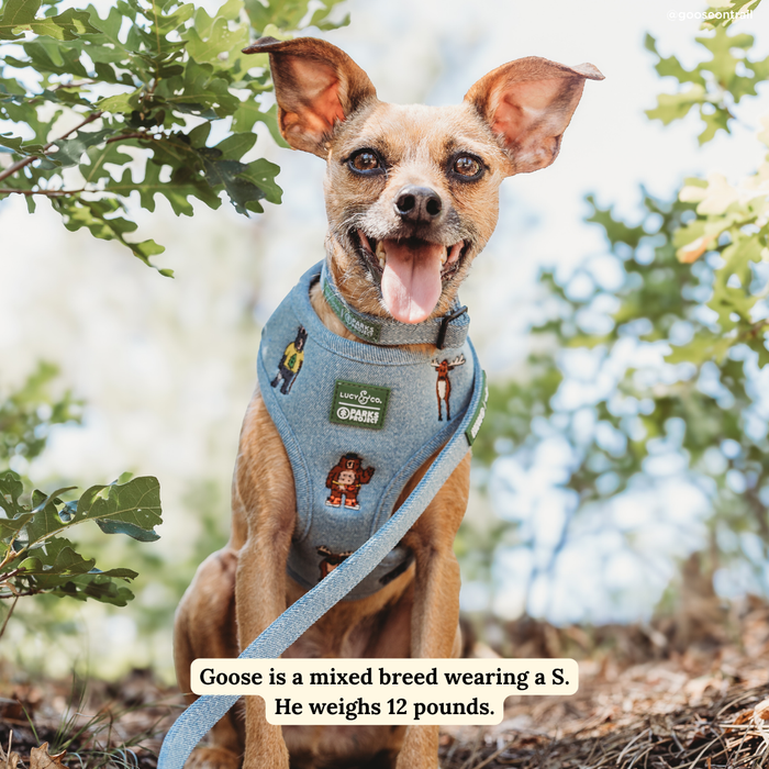 Lucy & Co. x Parks Project Adventures with Friends Reversible Harness