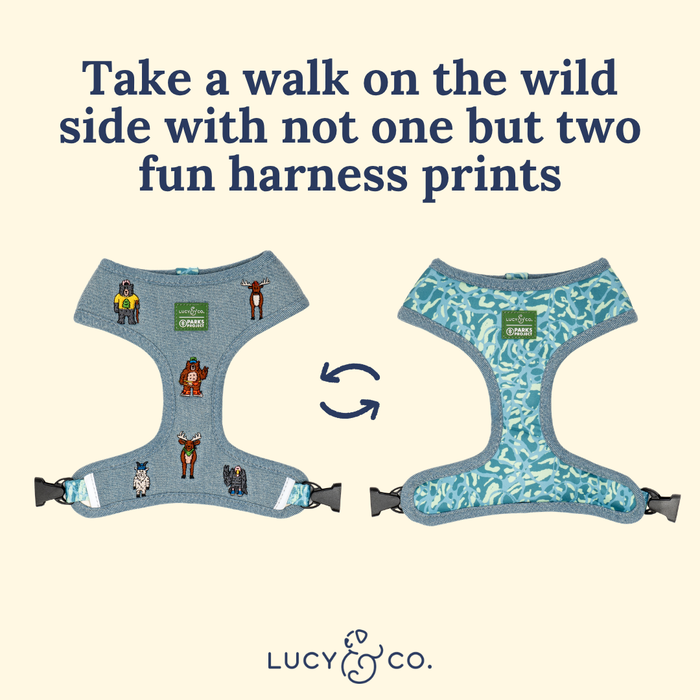 Lucy & Co. x Parks Project Adventures with Friends Reversible Harness