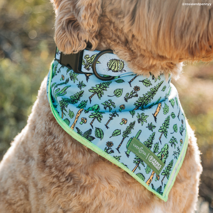 Lucy & Co. x Parks Project Feel the Earth Breathe Bandana