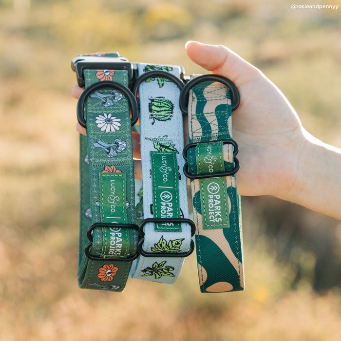Lucy & Co. x Parks Project Feel the Earth Breathe Collar