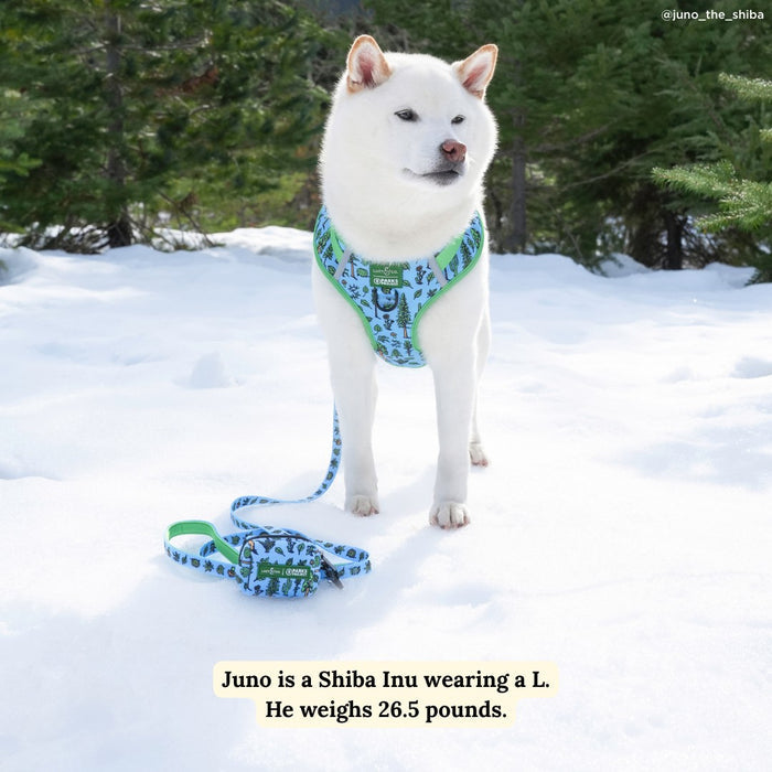 Lucy & Co. x Parks Project Feel the Earth Breathe Leash