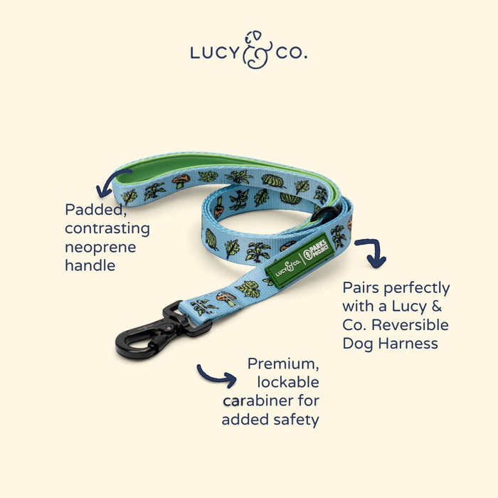 Lucy & Co. dog leash with blue nature print, green padded neoprene handle, and black lockable carabiner.